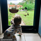 Noah’s Ark Bath Toy