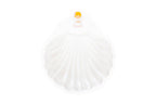Baptism Shell