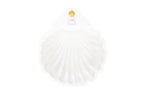 Baptism Shell
