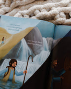 The Story of the Lost Sheep Book